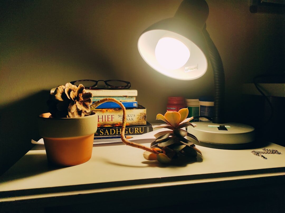 Desk with an open book, small plant and soft natural light
